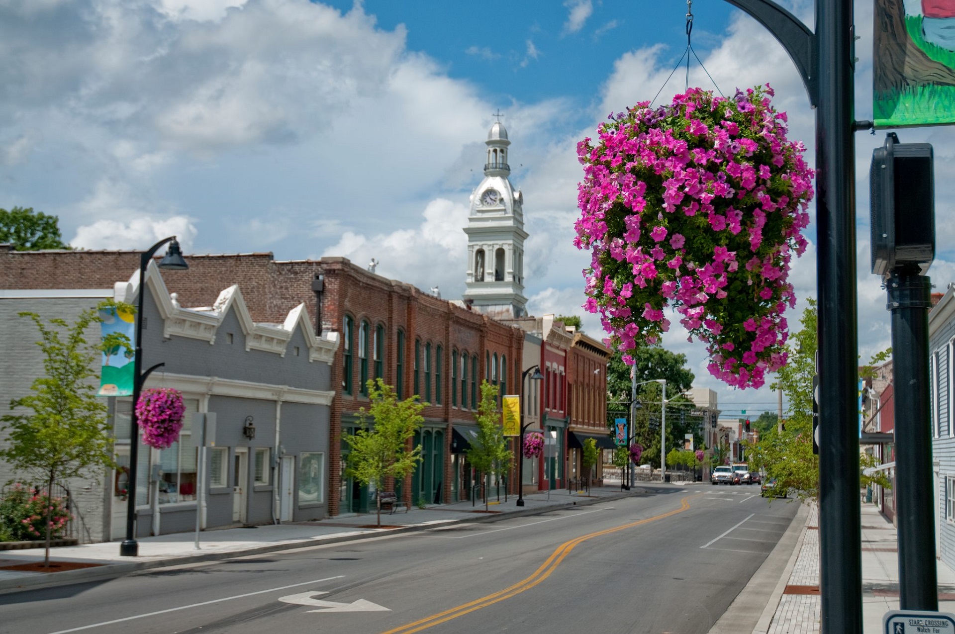 Downtown Nicholasville Flowers
